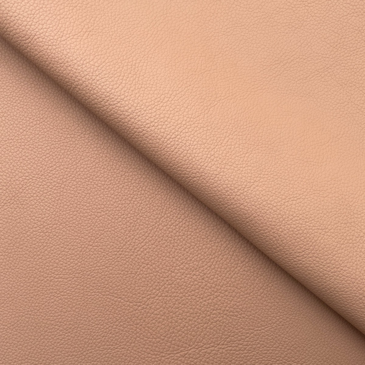 c22b00018-large-grain-young-bull-leather