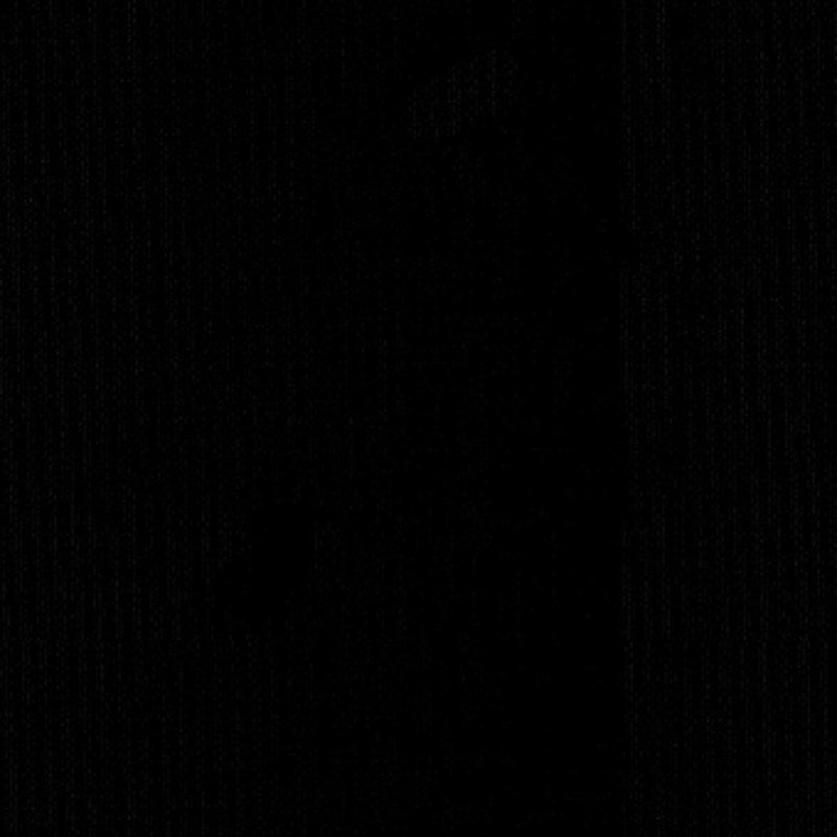sargent-silk-taffeta-onyx-fabric