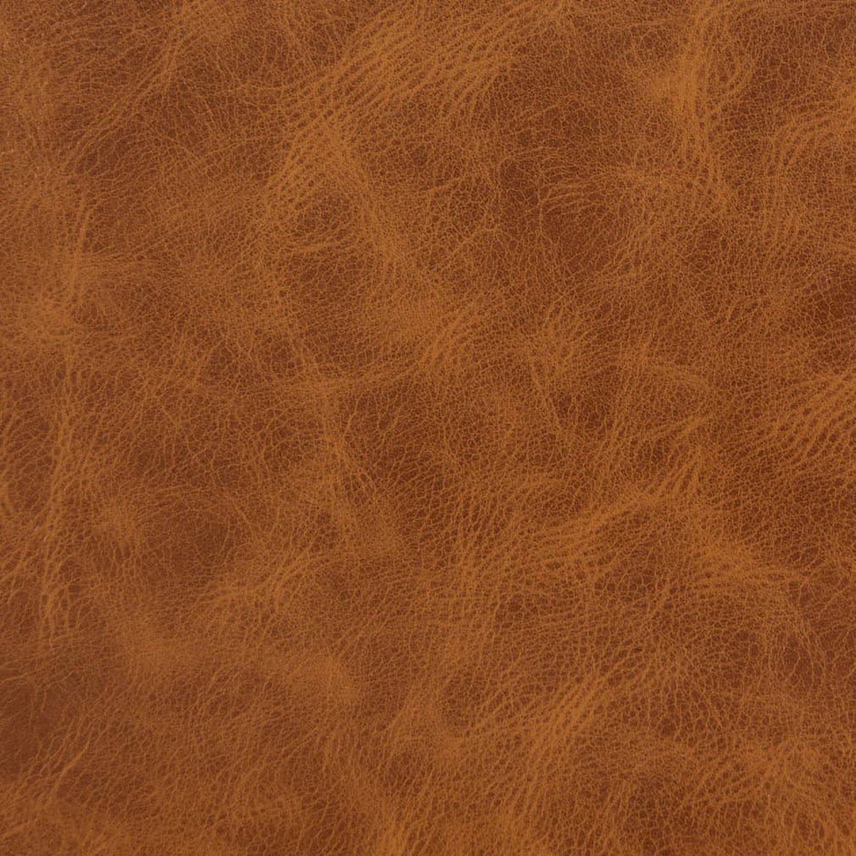 charlotte-v633-rawhide-fabric-by-the-yard