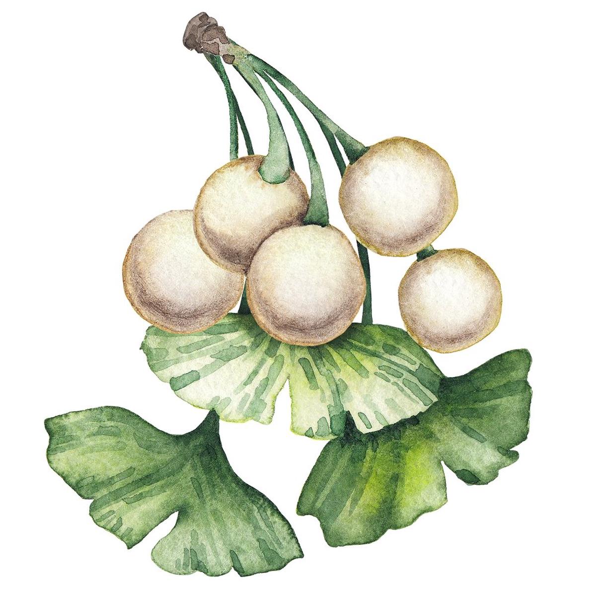 watercolor-ginkgo-biloba-style-3-fabric-panel