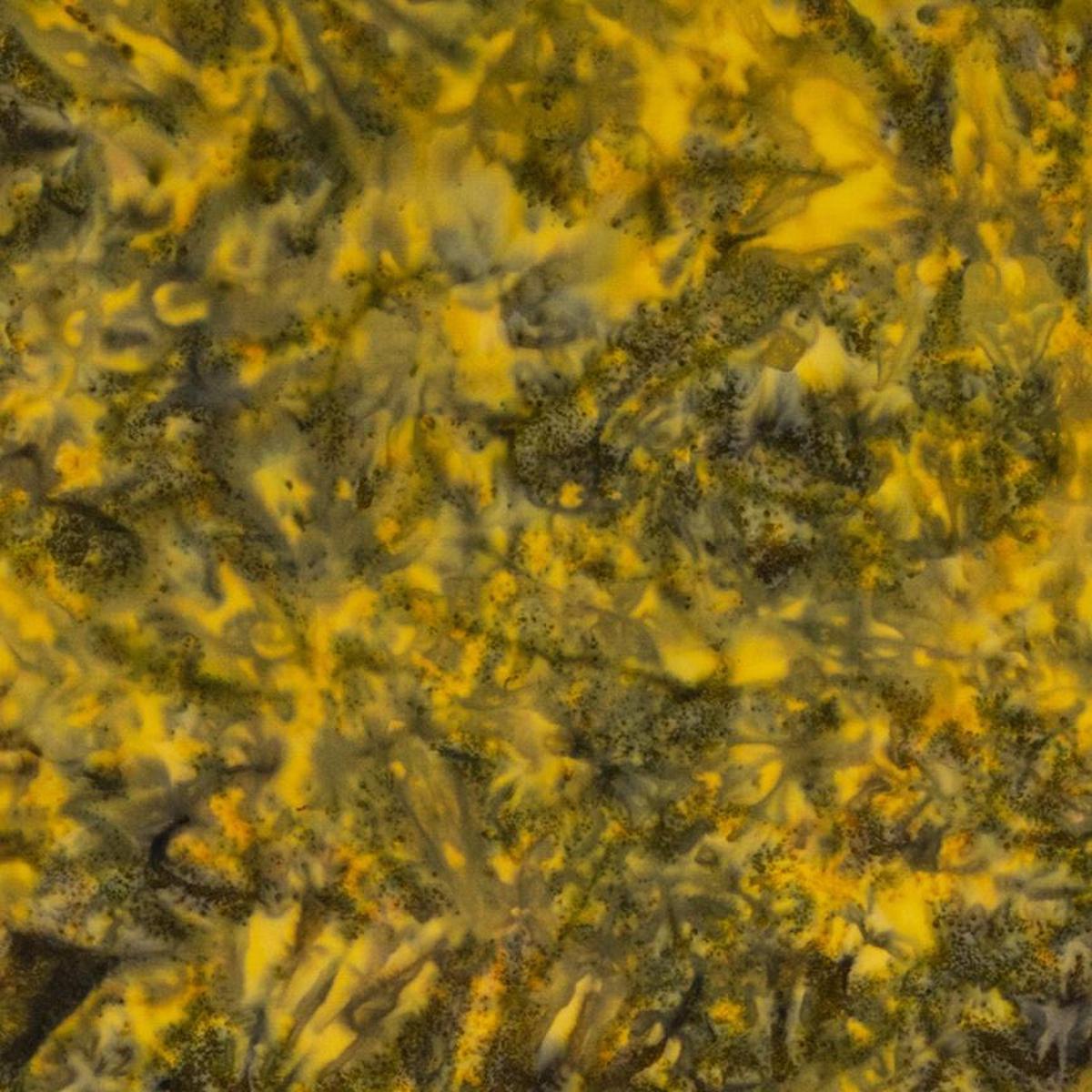 expression-batiks-hand-dyes-dark-green-yellow-multi-1