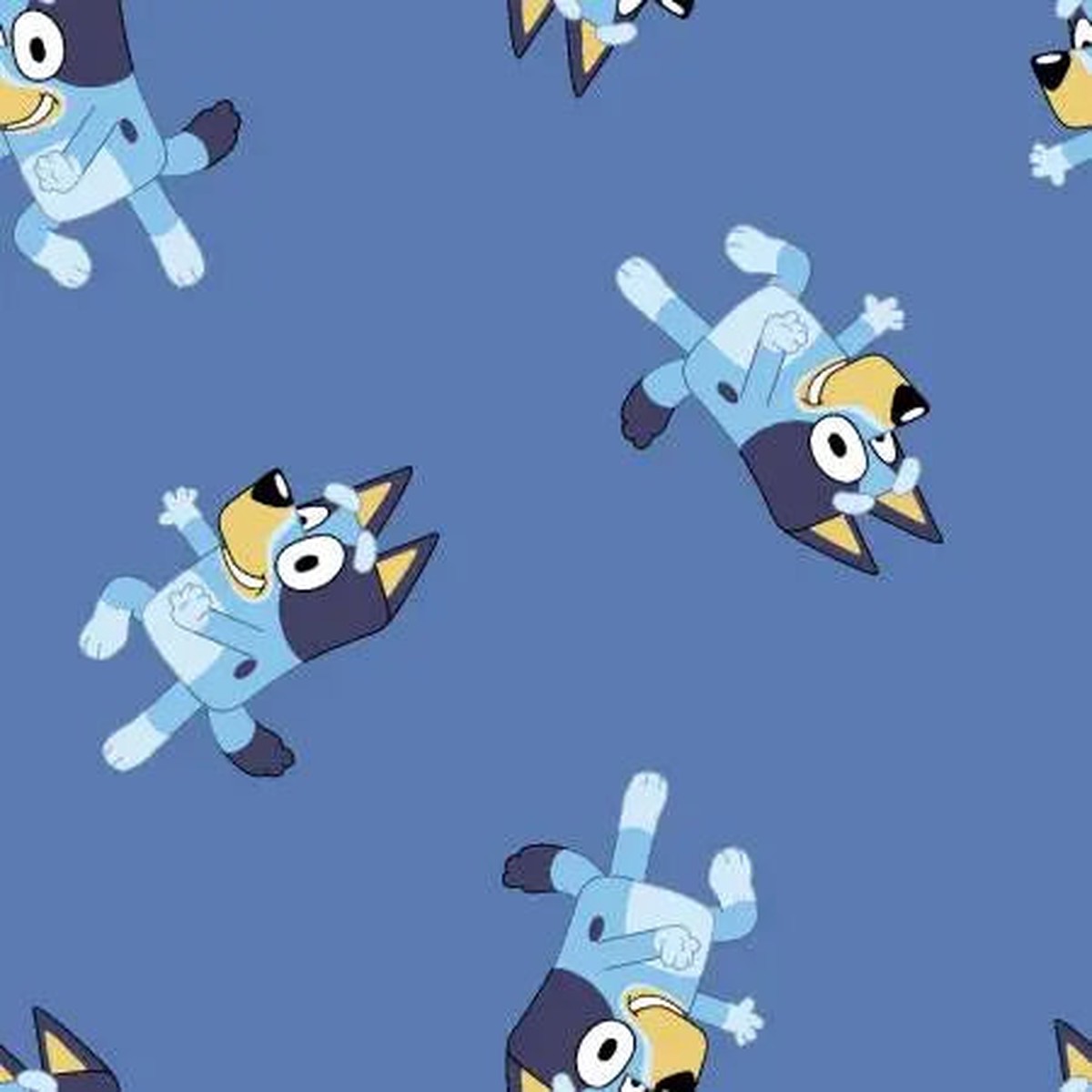 bluey-classic-fleece