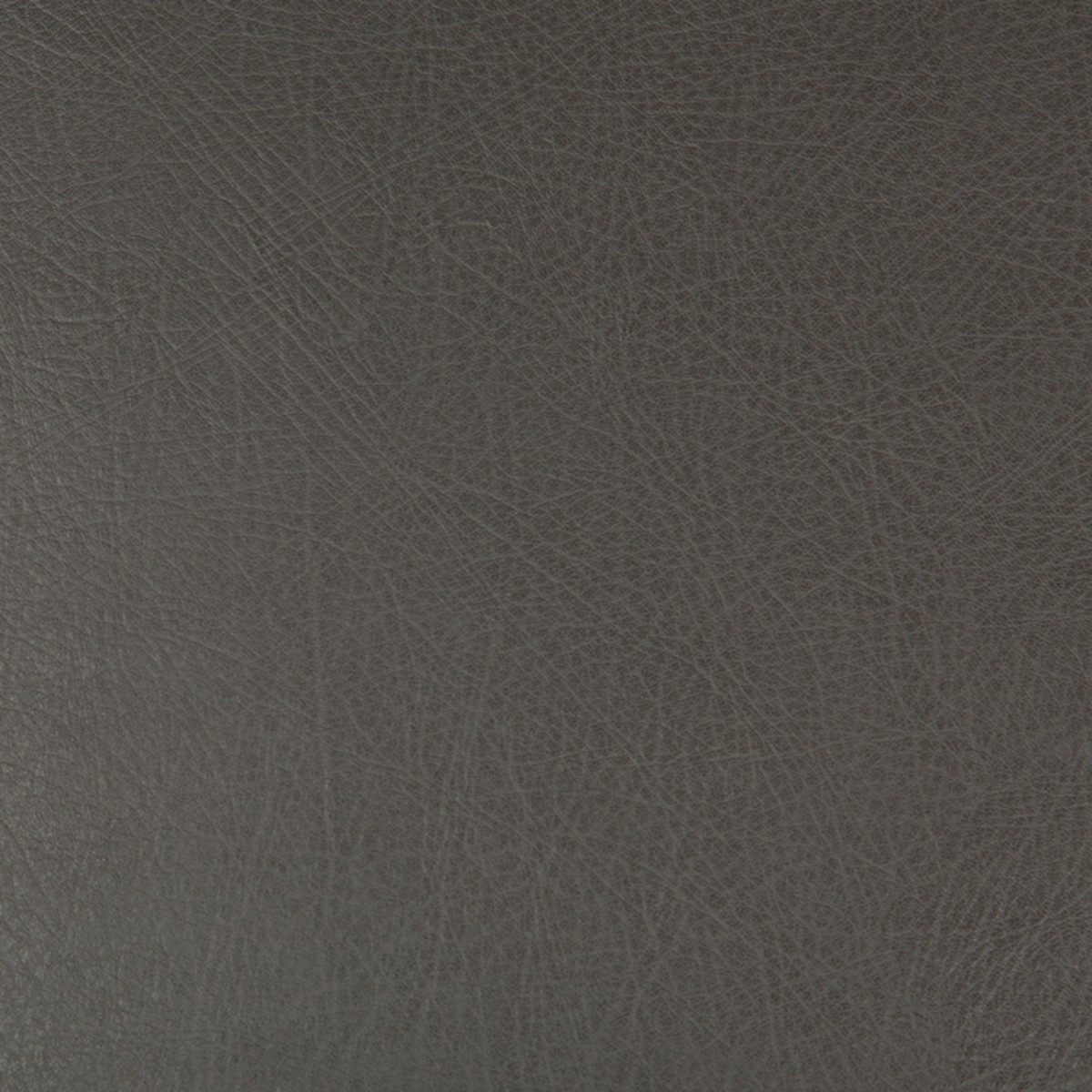 deimos-21-0-in-deimos-by-kravet-design