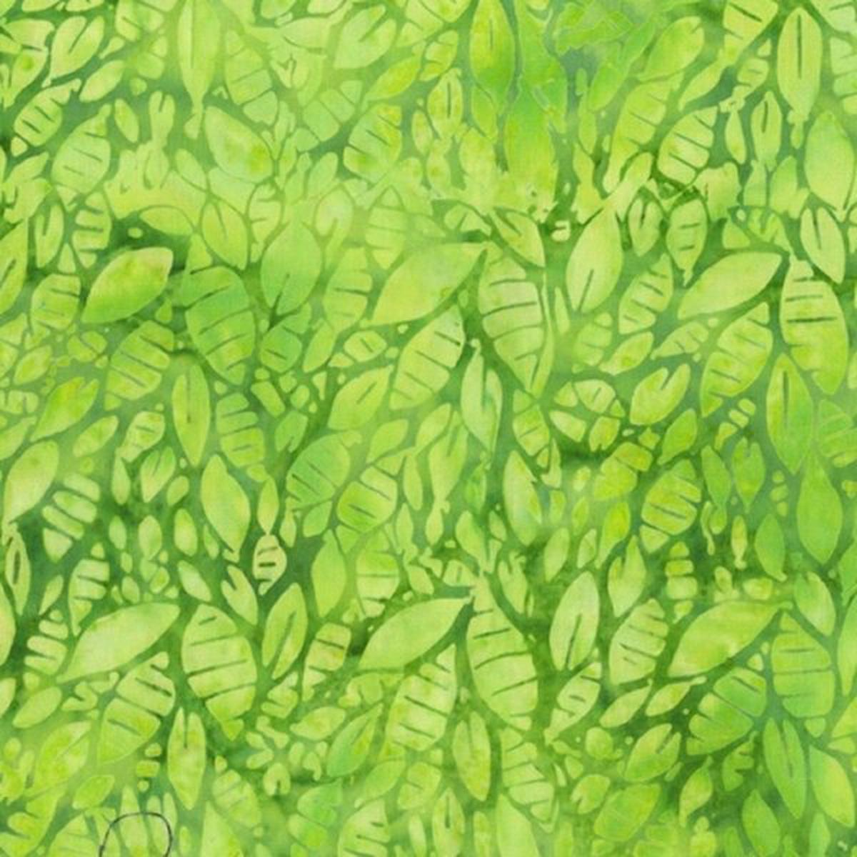 anthology-428q-2-shamrock