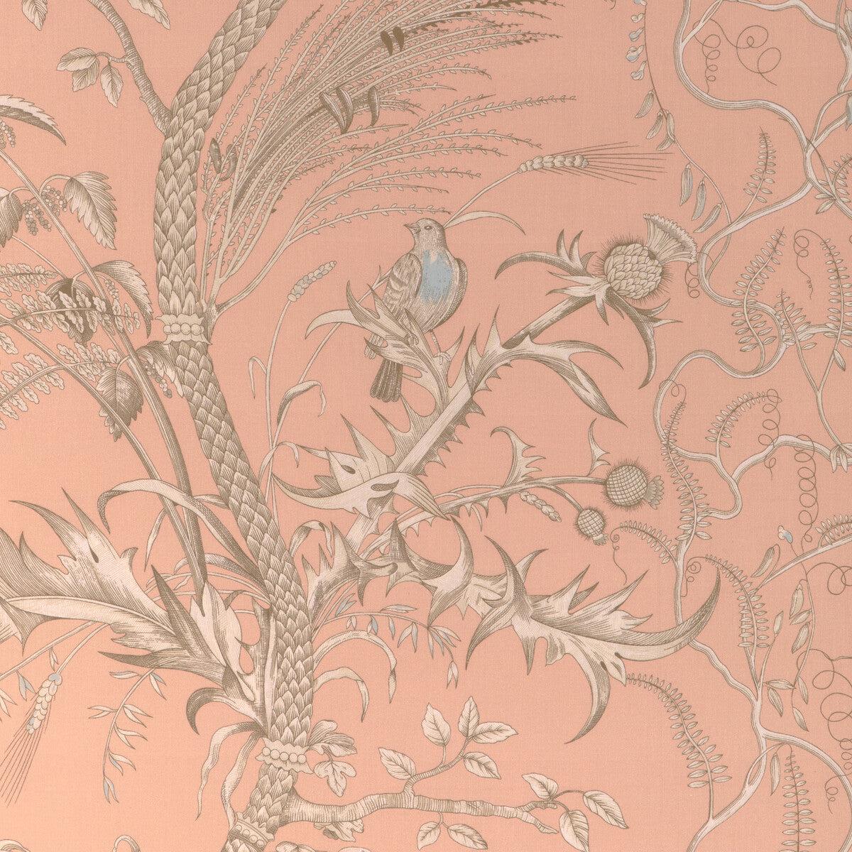 8024101-1216-0-bird-and-thistle-ii-peach-brunschwig-fils-fabric-yard