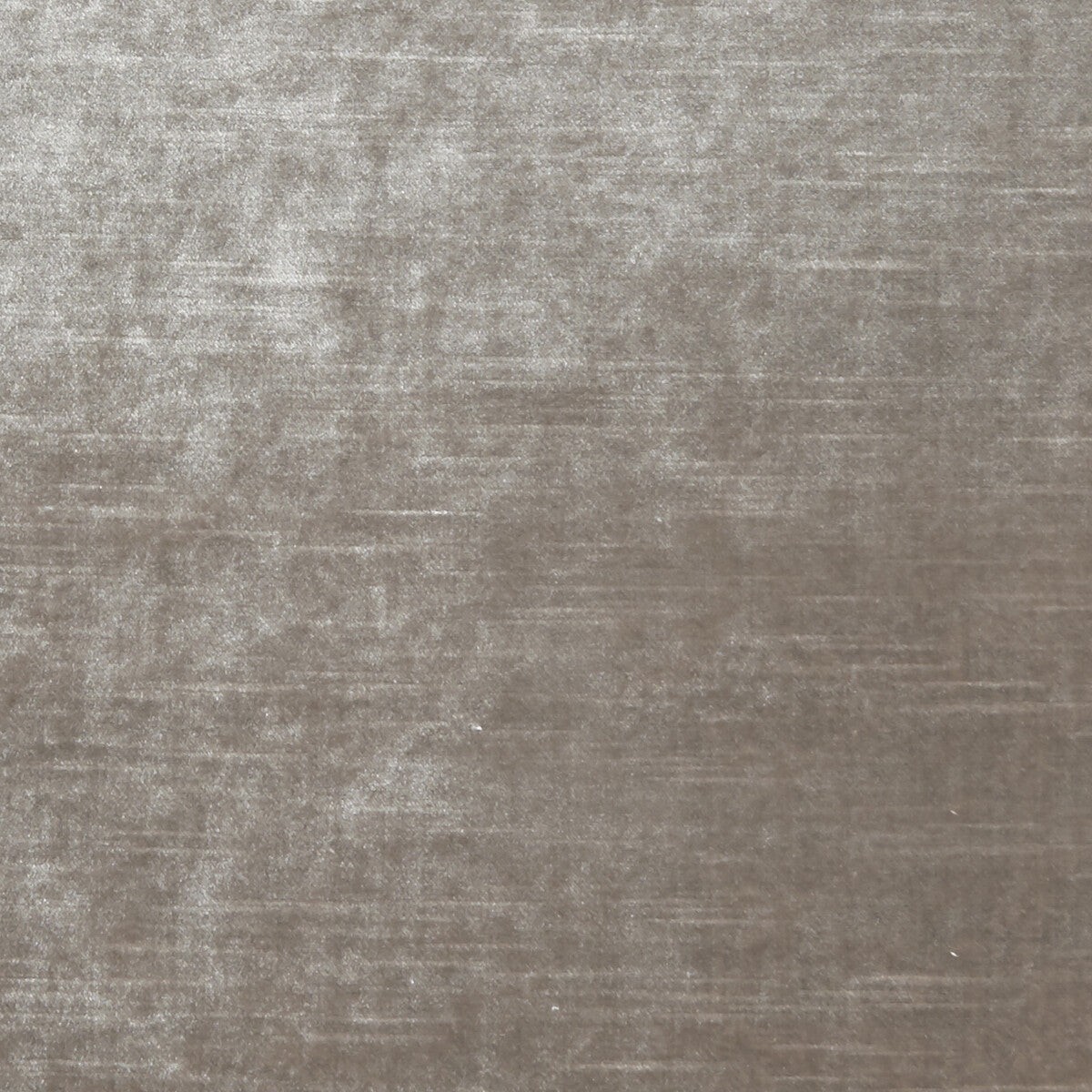allure-mink-fabric