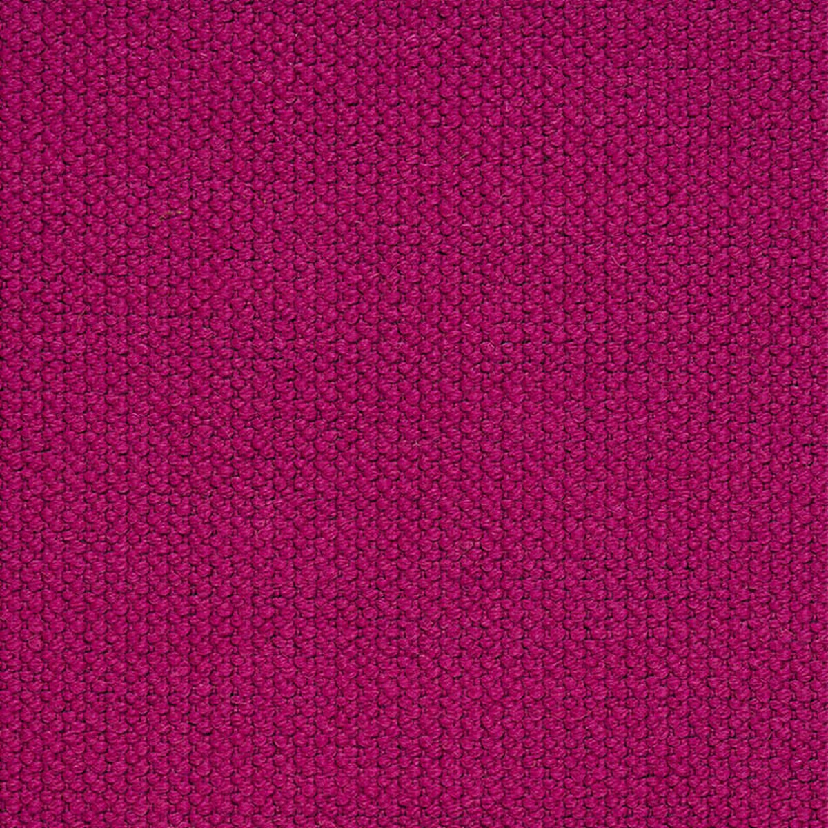 alpine-fuchsia-schumacher-76453-fabric