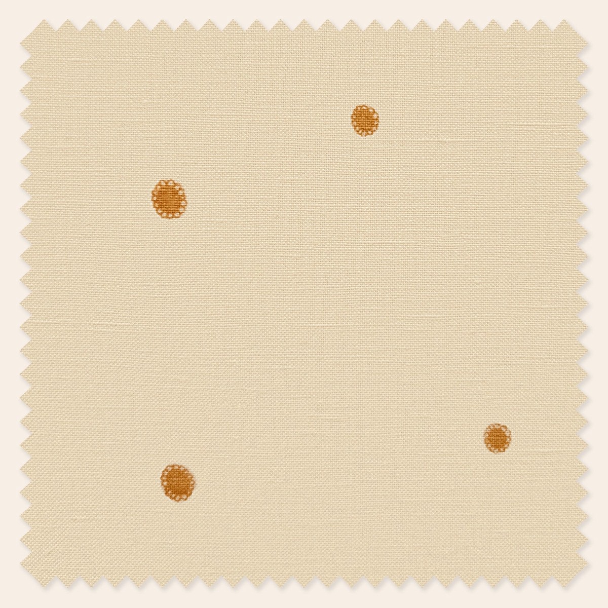 dolce-daisies-limoncello-metre