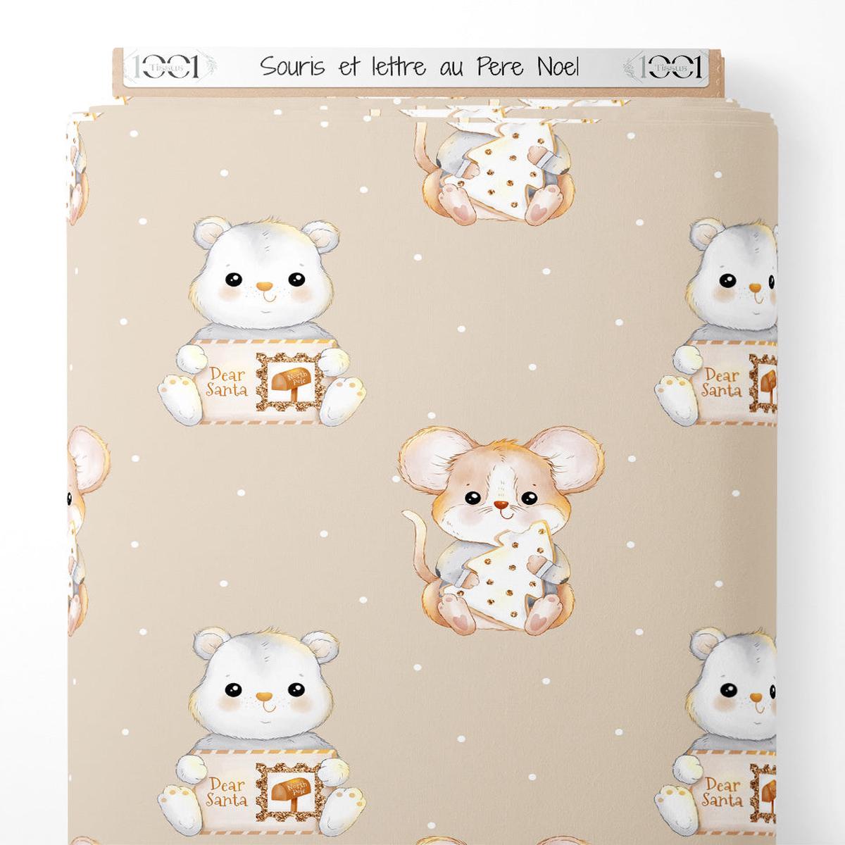 tissu-souris-et-lettre-au-pre-nol