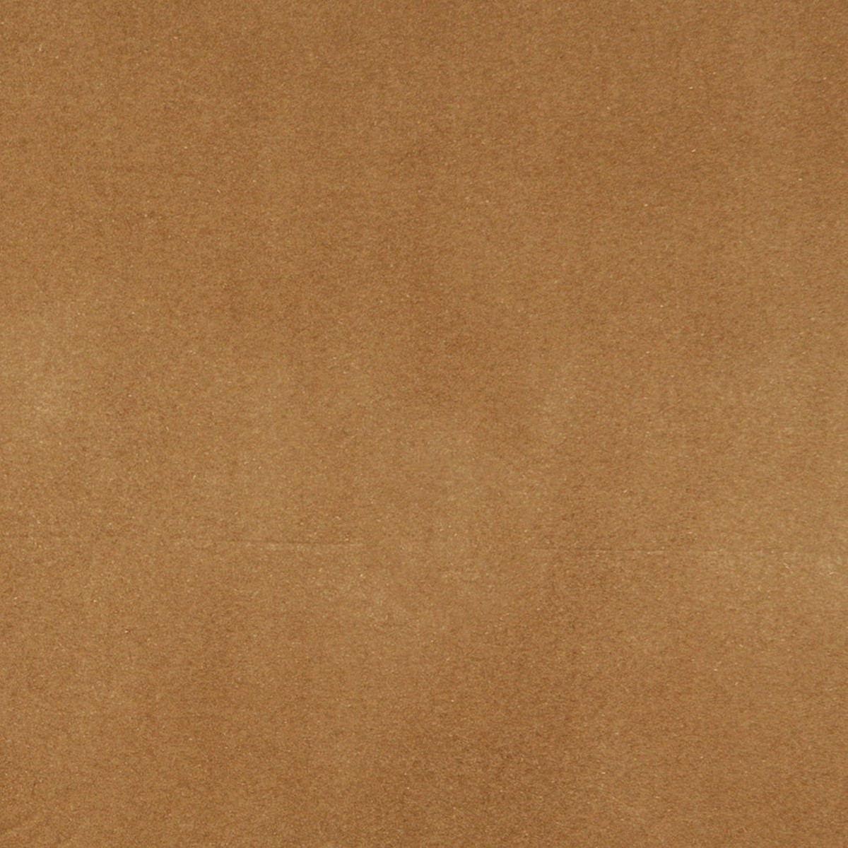 3859-camel