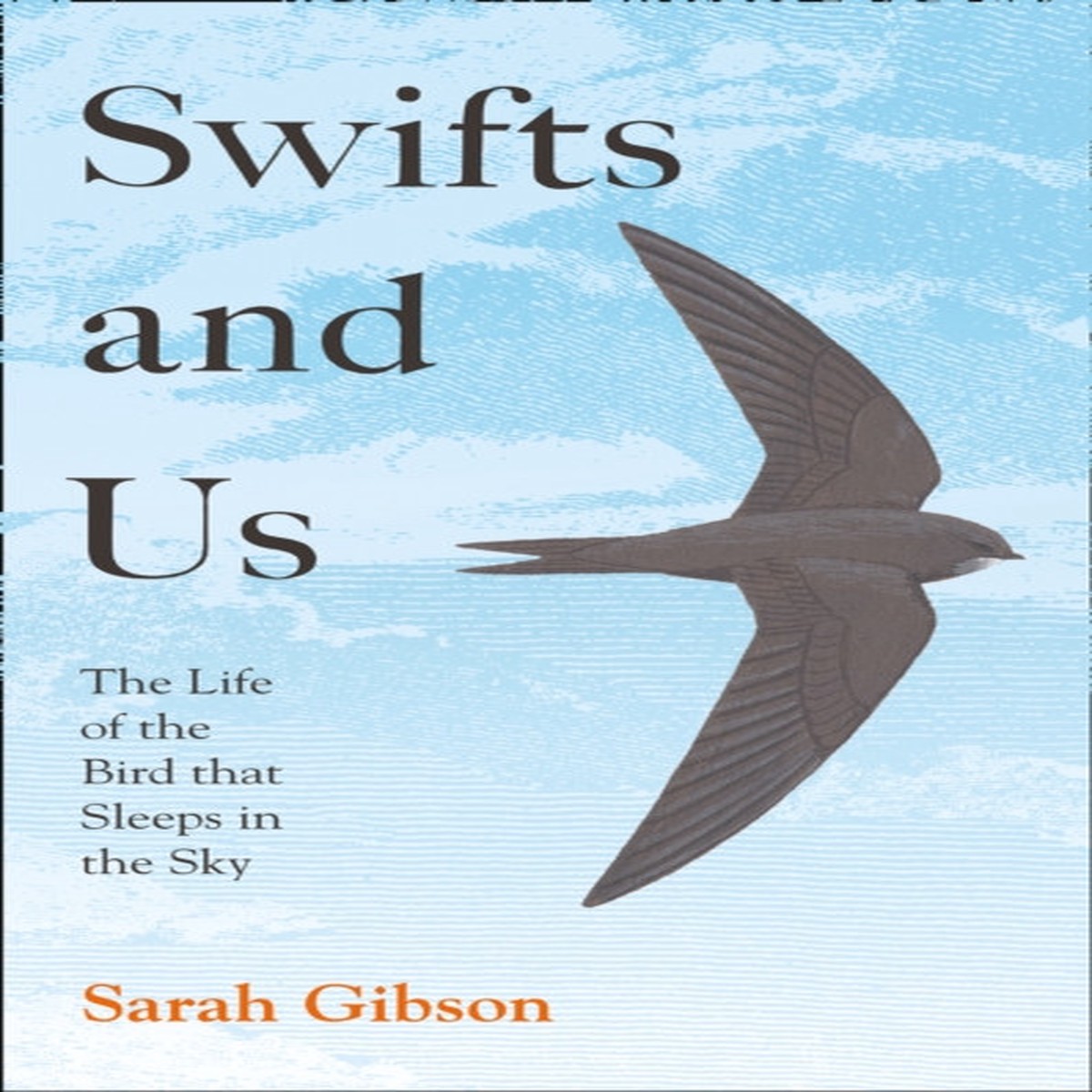 swifts-and-us-by-sarah-gibson