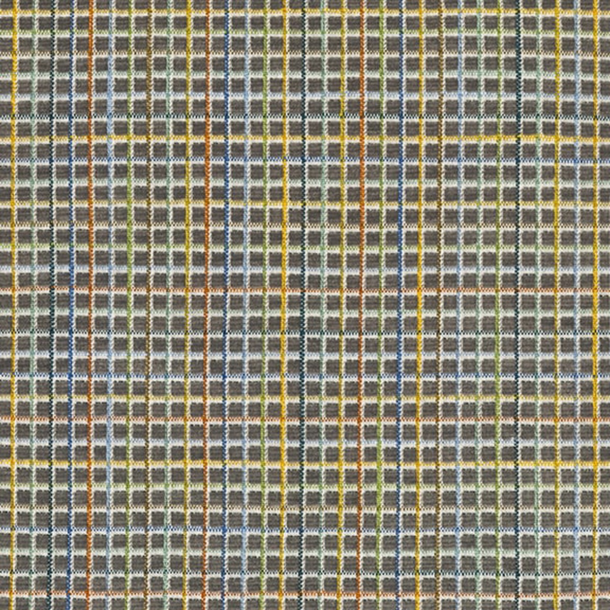 brentano-playground-juice-press-fabric-4511-04