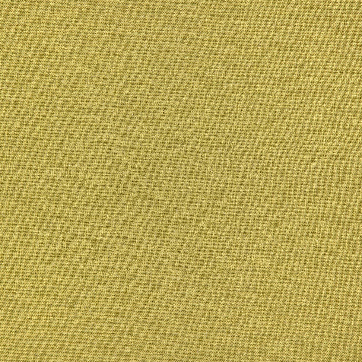 arran-11204