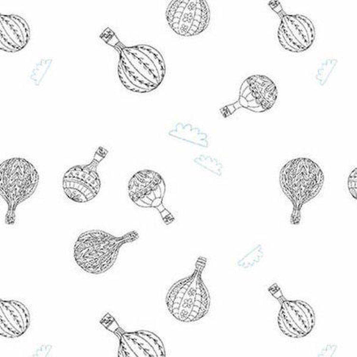 blank-lower-the-volume-hot-air-balloons-white