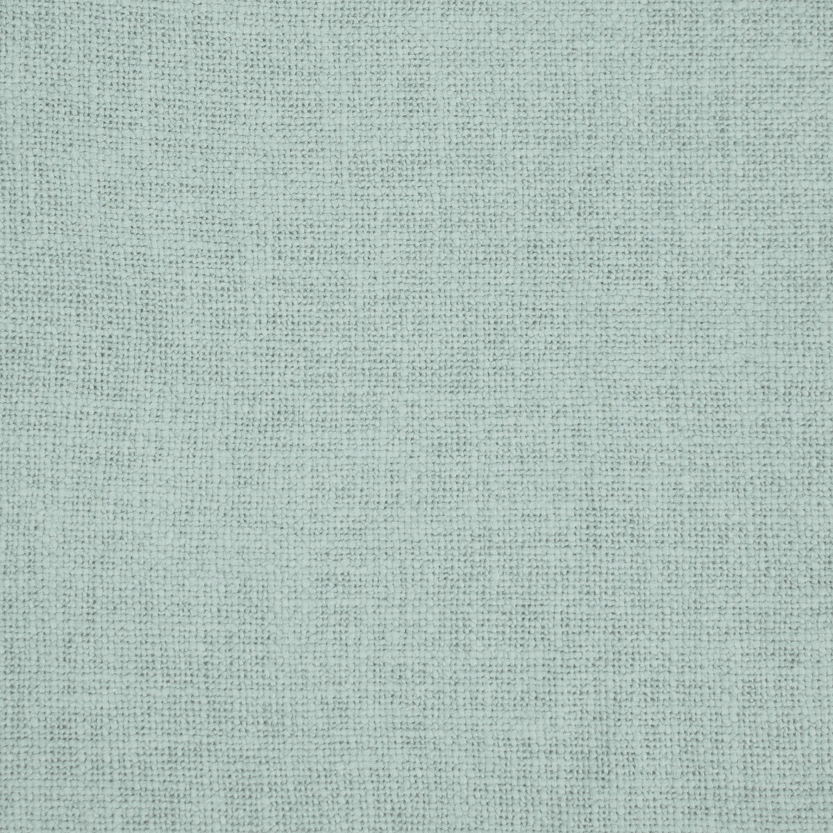 gaston-y-daniela-bellver-liquen-fabric-by-the-yard