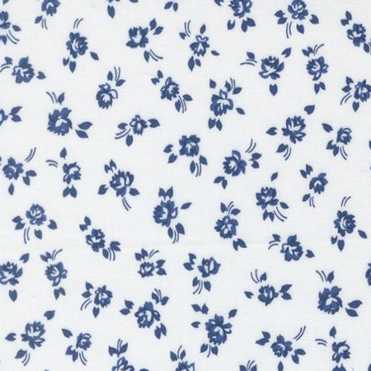moda-blueprint-camille-roskelley-white-navy-55331-26