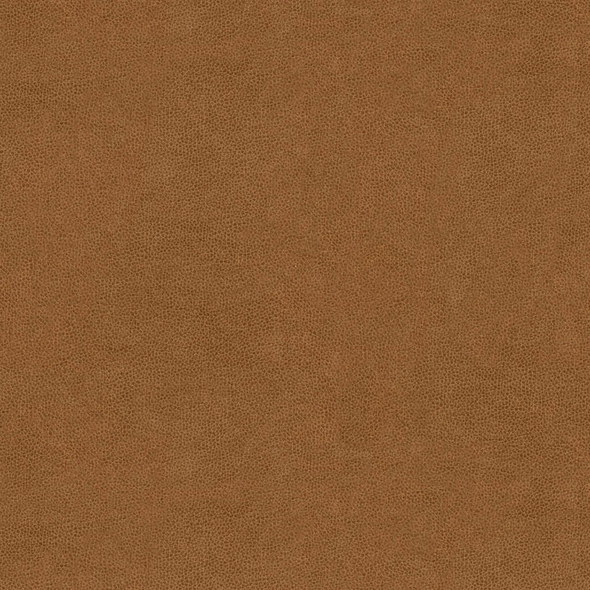 abilene16160-abilene-biscuit-kravet-contract-fabric