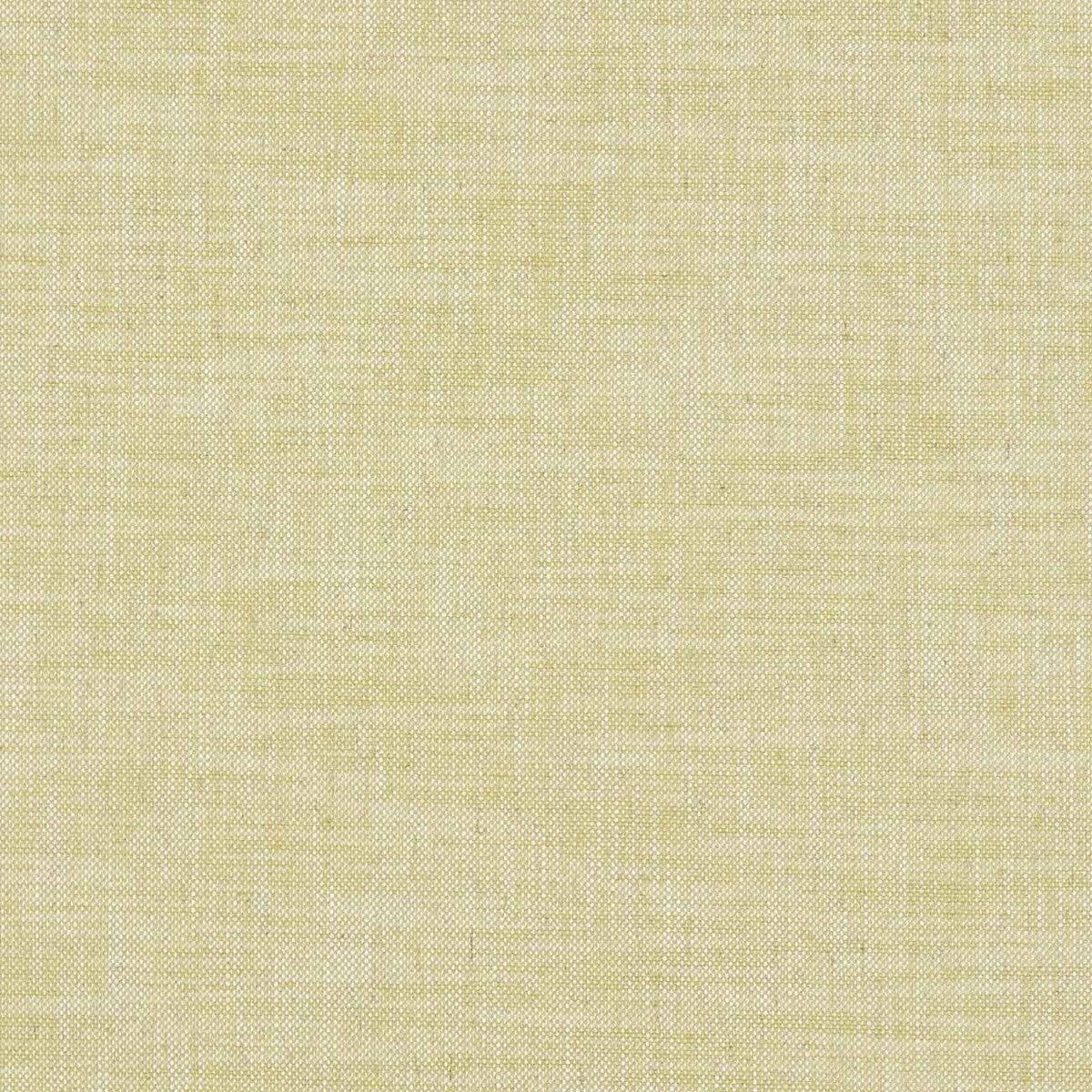 clarke-and-clarke-milton-citron-fabric-by-the-yard-citron