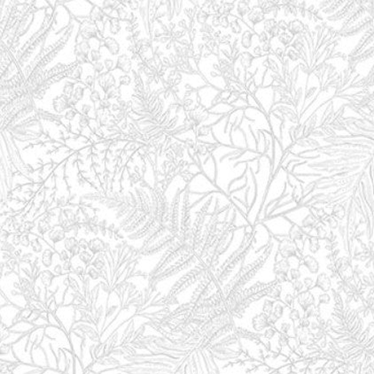nature-s-sketchbook-fern-28528-100