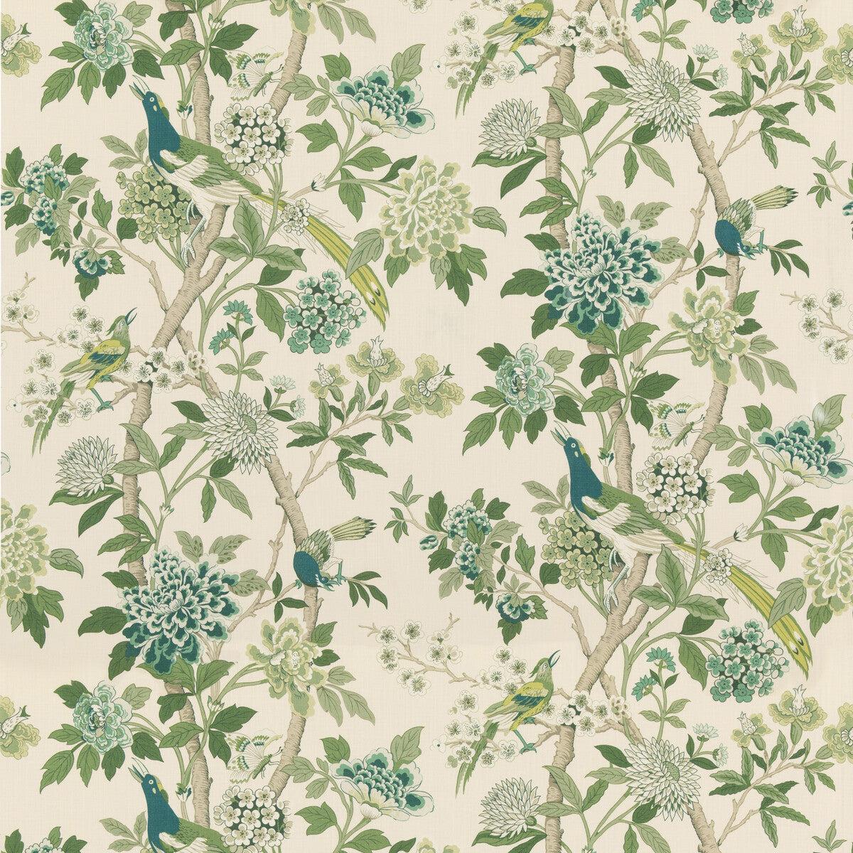 hydrangea-bird-archive-green