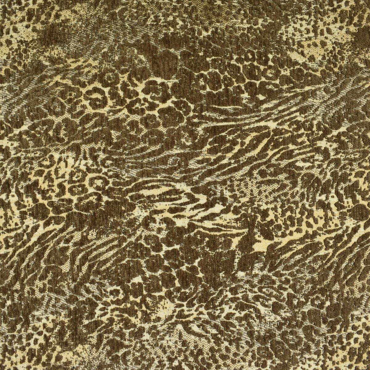 f2478-sahara