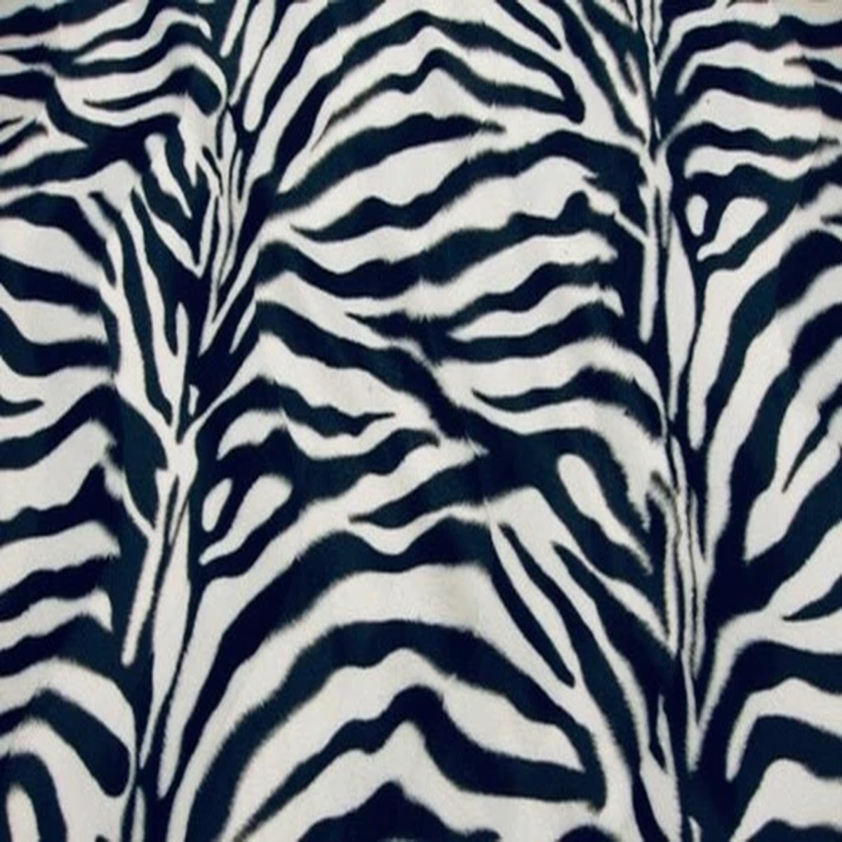 zebra-large-white-and-black-velboa-upholstery-fabric-per-yard-60-wide