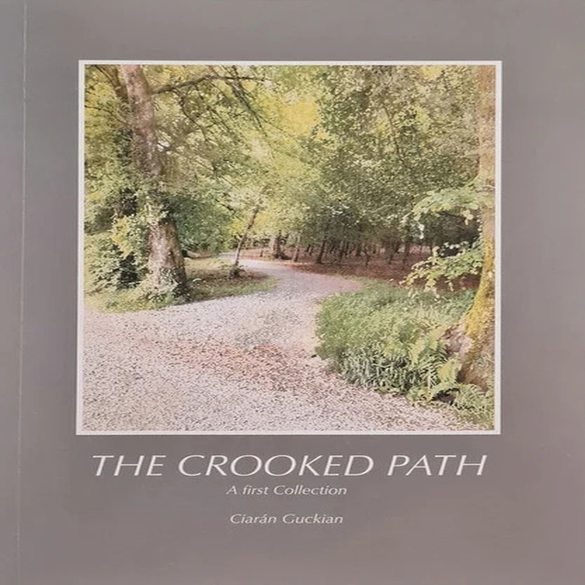 the-crooked-path-a-first-collection-by-ciarn-guckian