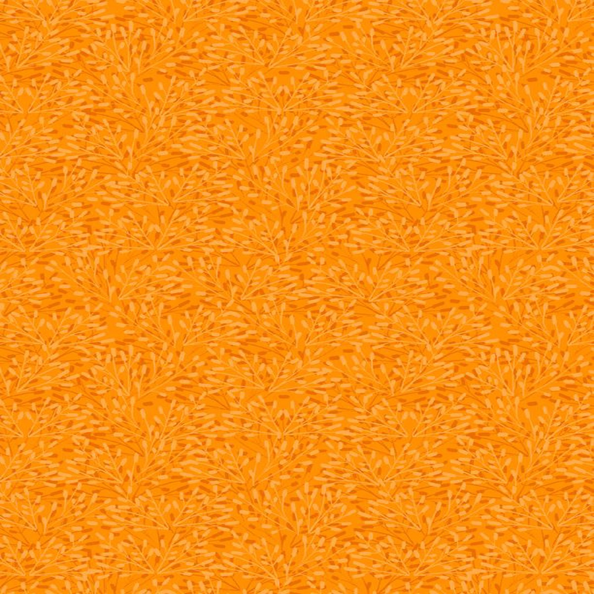 whimsy-citrus