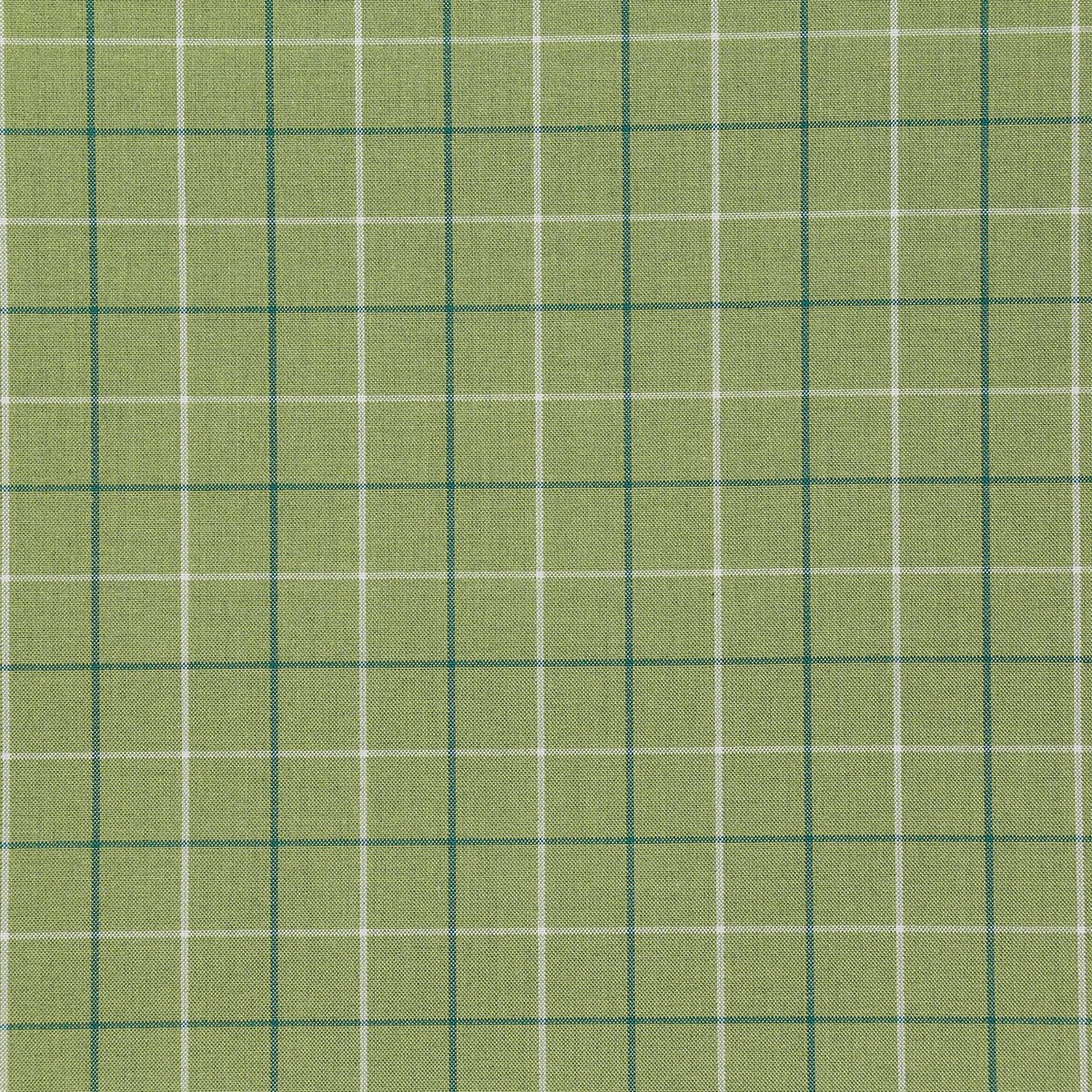 8178-zuma-sprout-pindler-fabric