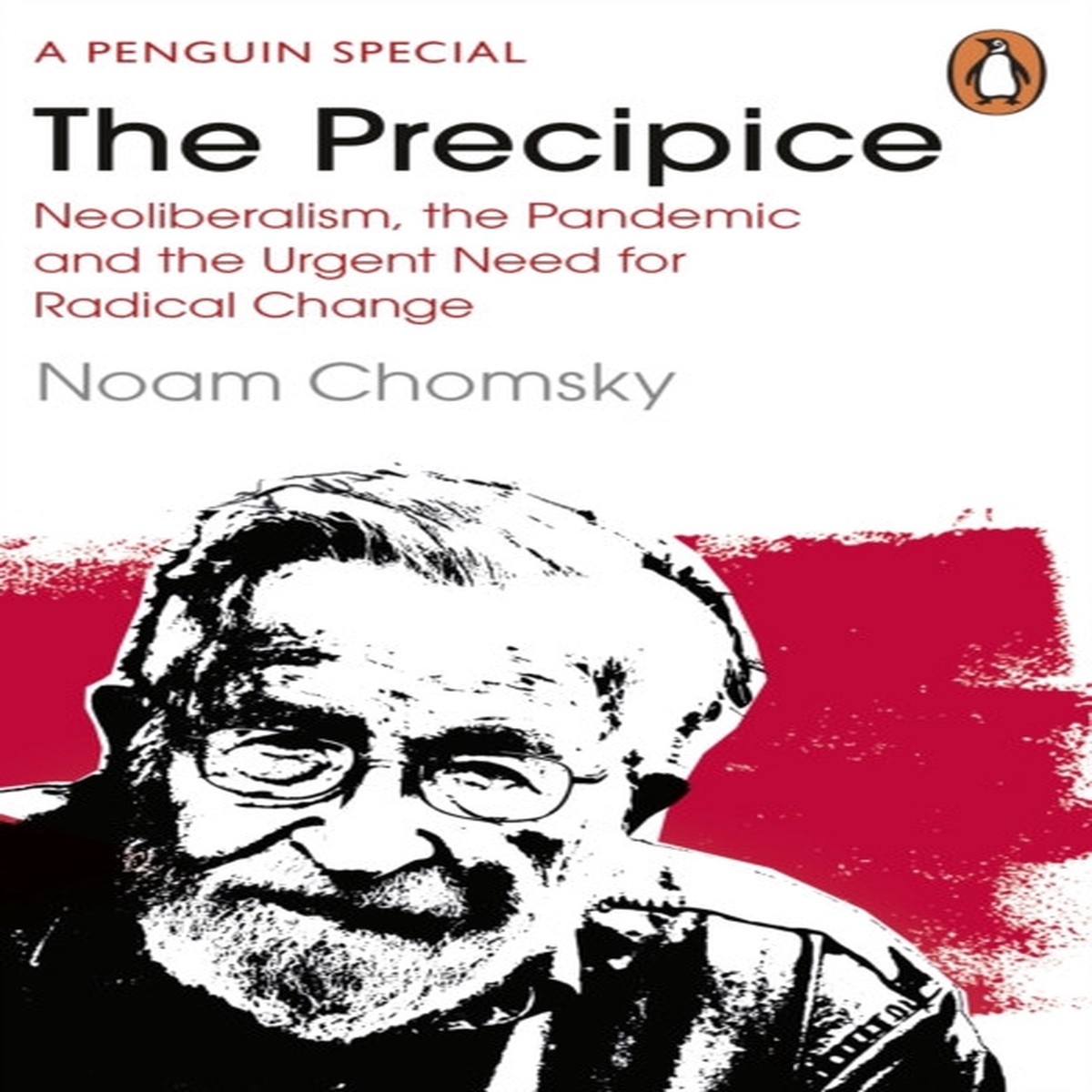 the-precipice-by-noam-chomsky