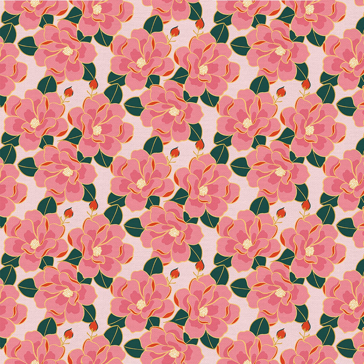 magnolia-bloom-pink
