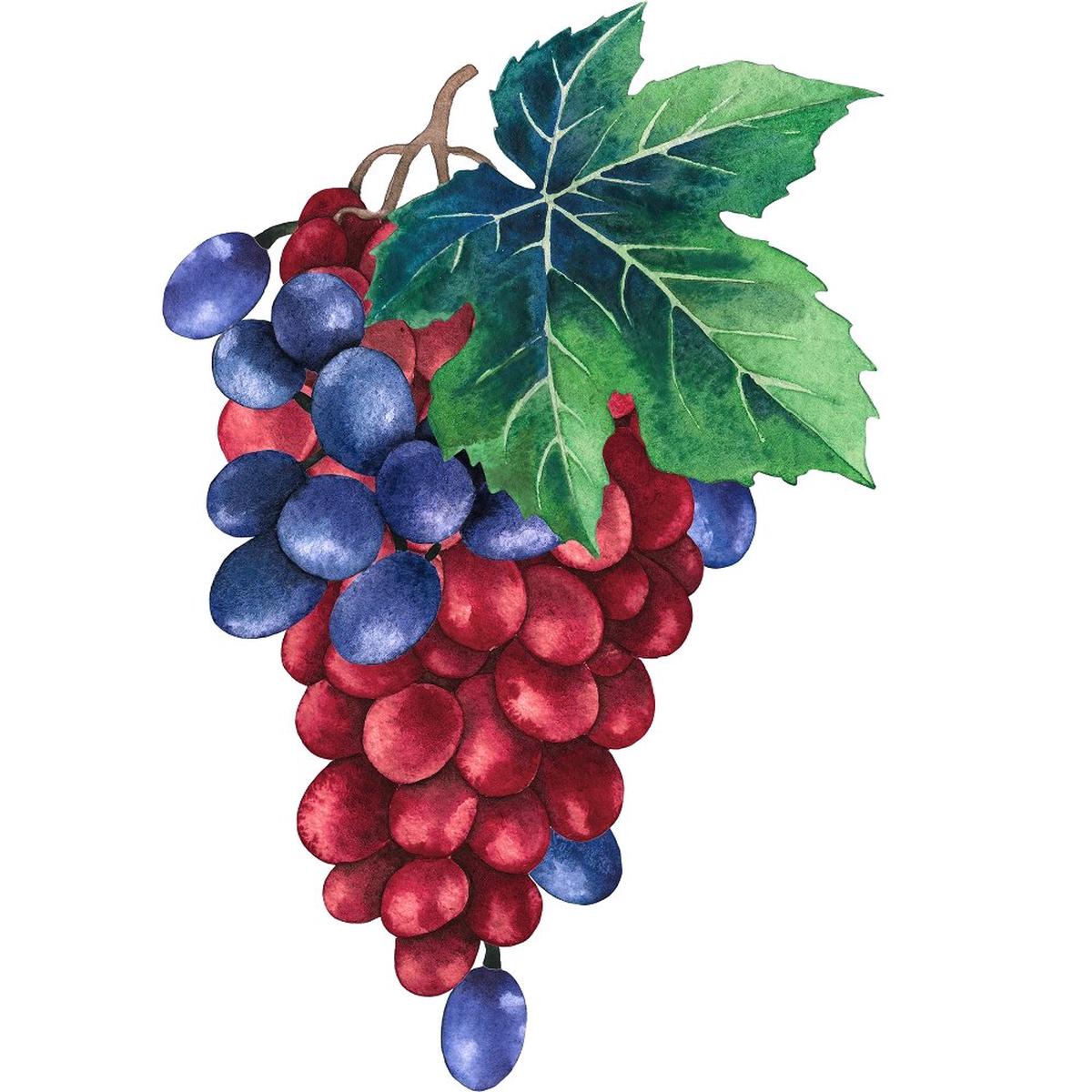 red-purple-grape-pedicels-fabric-panel