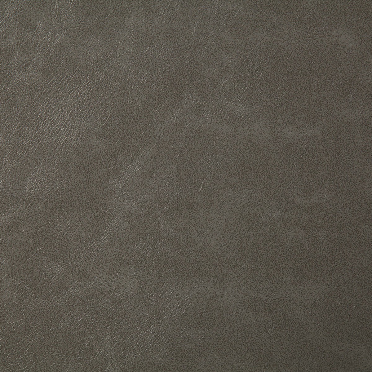 7880-bonanza-pewter-pindler-fabric