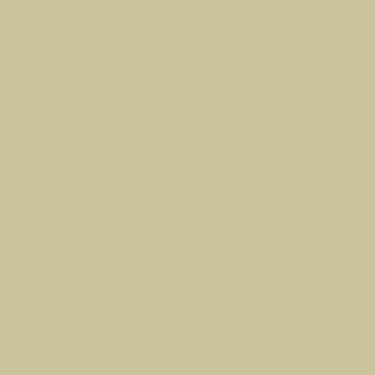andover-century-solids-oatmeal