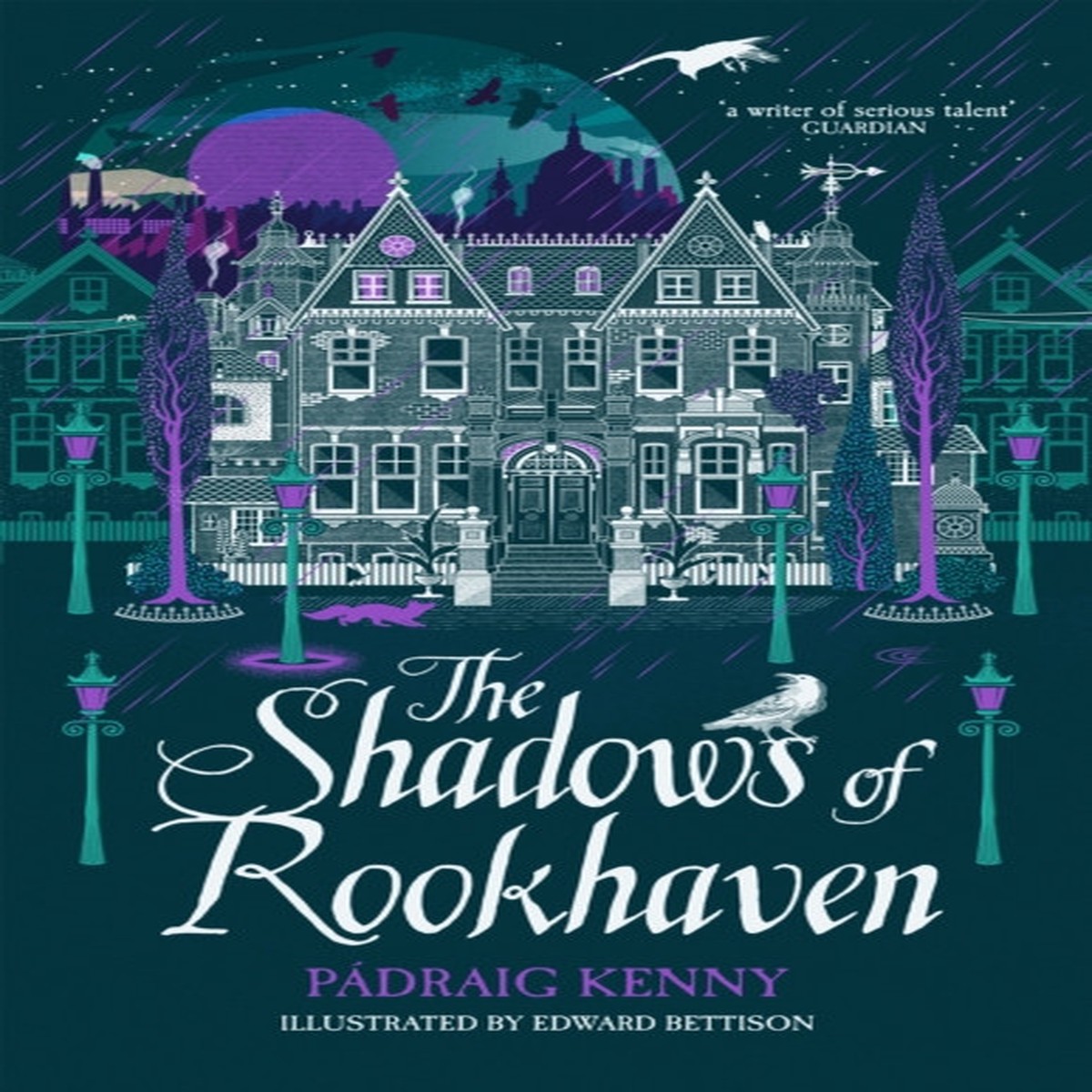 the-shadows-of-rookhaven-by-padraig-kenny