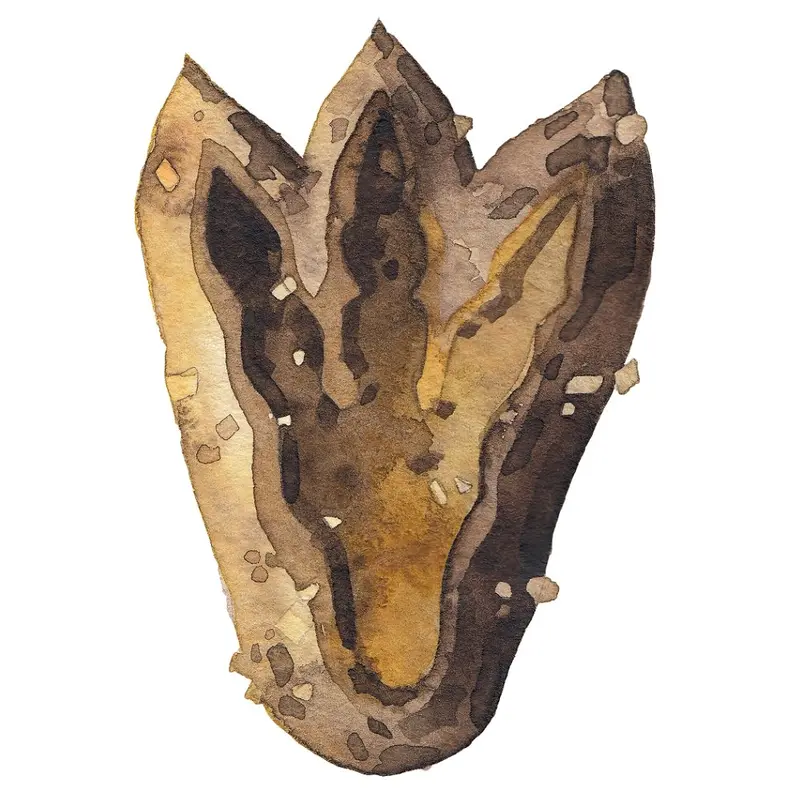 watercolor-dinosaur-footprint-fabric-panel