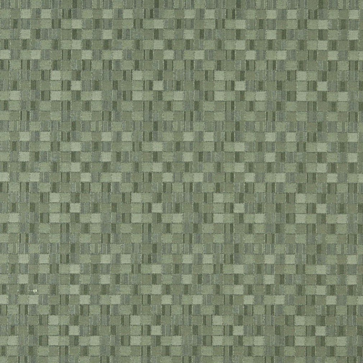 5259-aloe