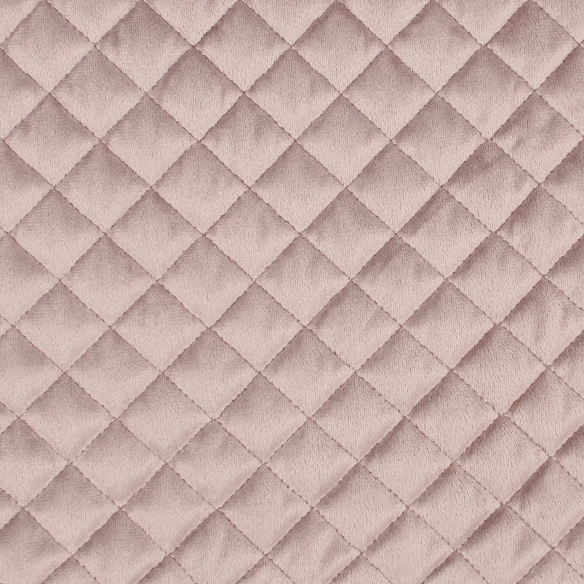 paloma-mauve