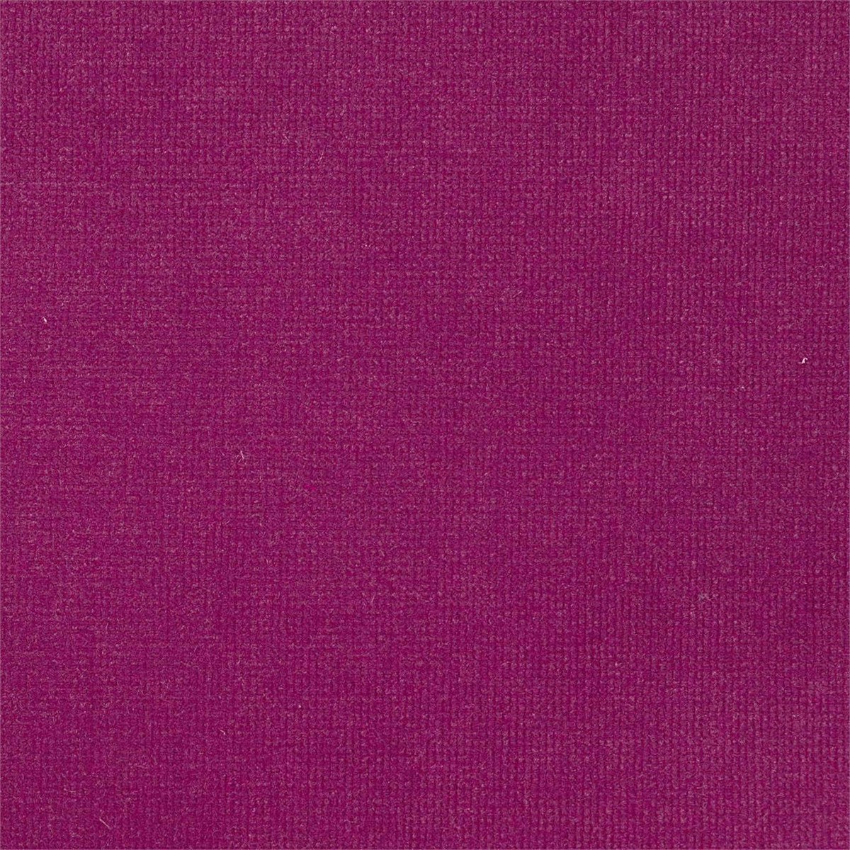 plush-velvet-prism-plains-2-beetroot-fabric-by-harlequin