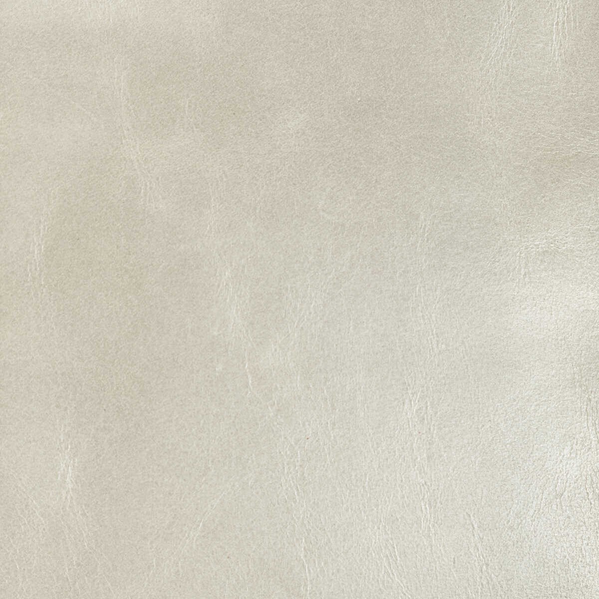 lchanteyfossil0-kravet-design-l-chantey-fossil-kravet-design-fabric