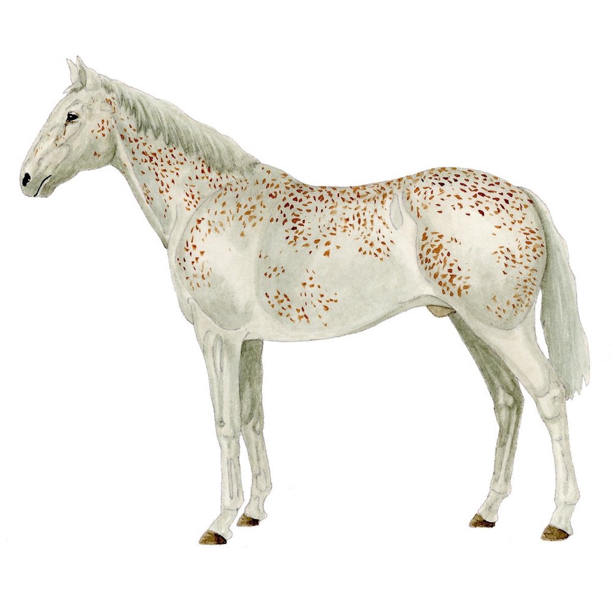 atruchado-horse-illustration-fabric-panel