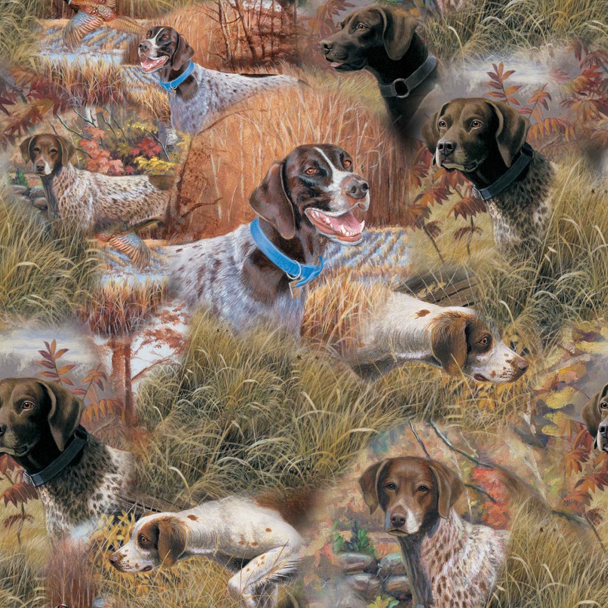 show-dogs-allover-per-25cm