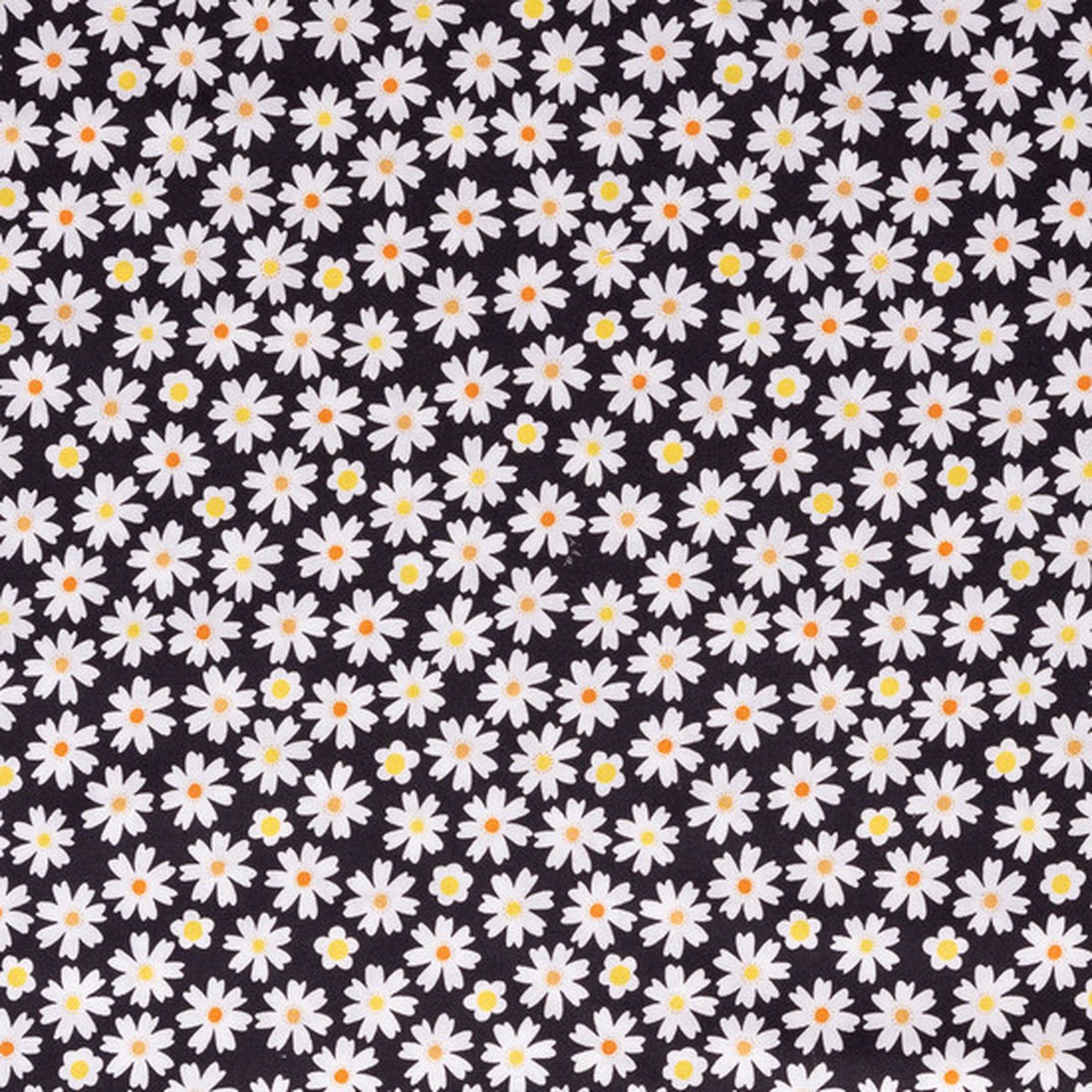 tiger-tails-daisies-on-black-100-cotton