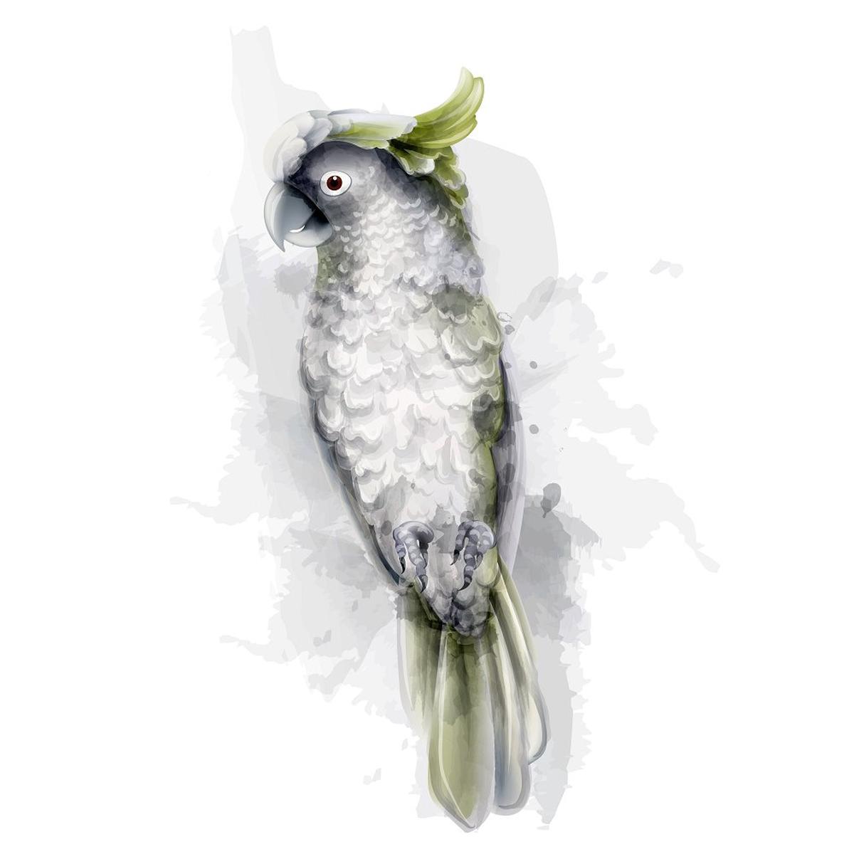 yellow-crested-parrot-fabric-panel