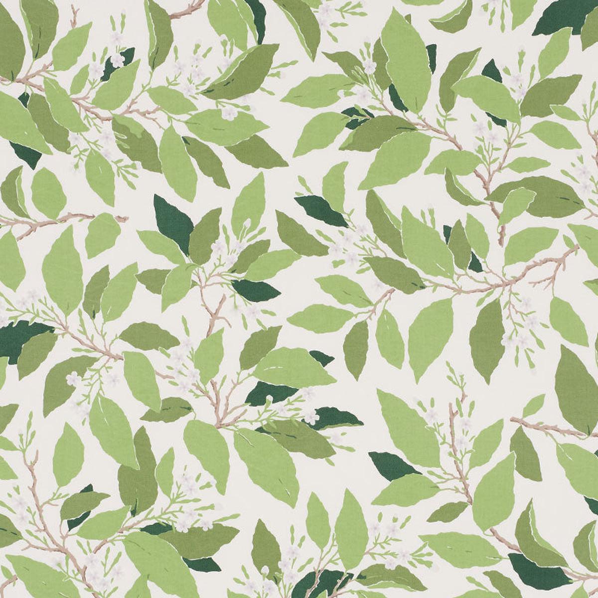 dogwood-leaf-ivory-fabric