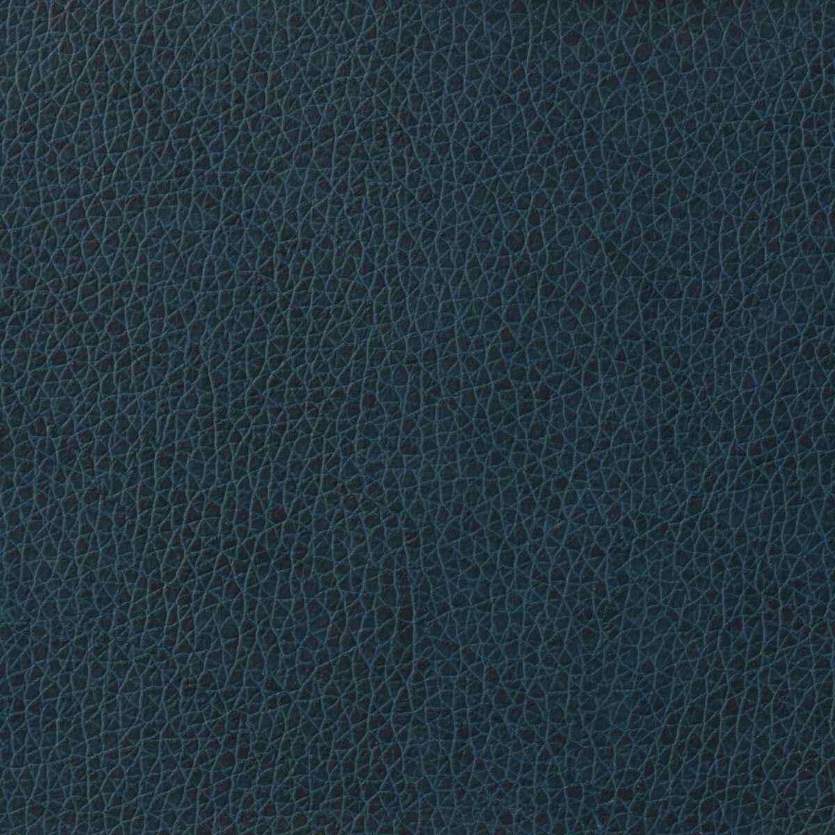 matter50-kravet-basics-matter-5-kravet-basics-fabric