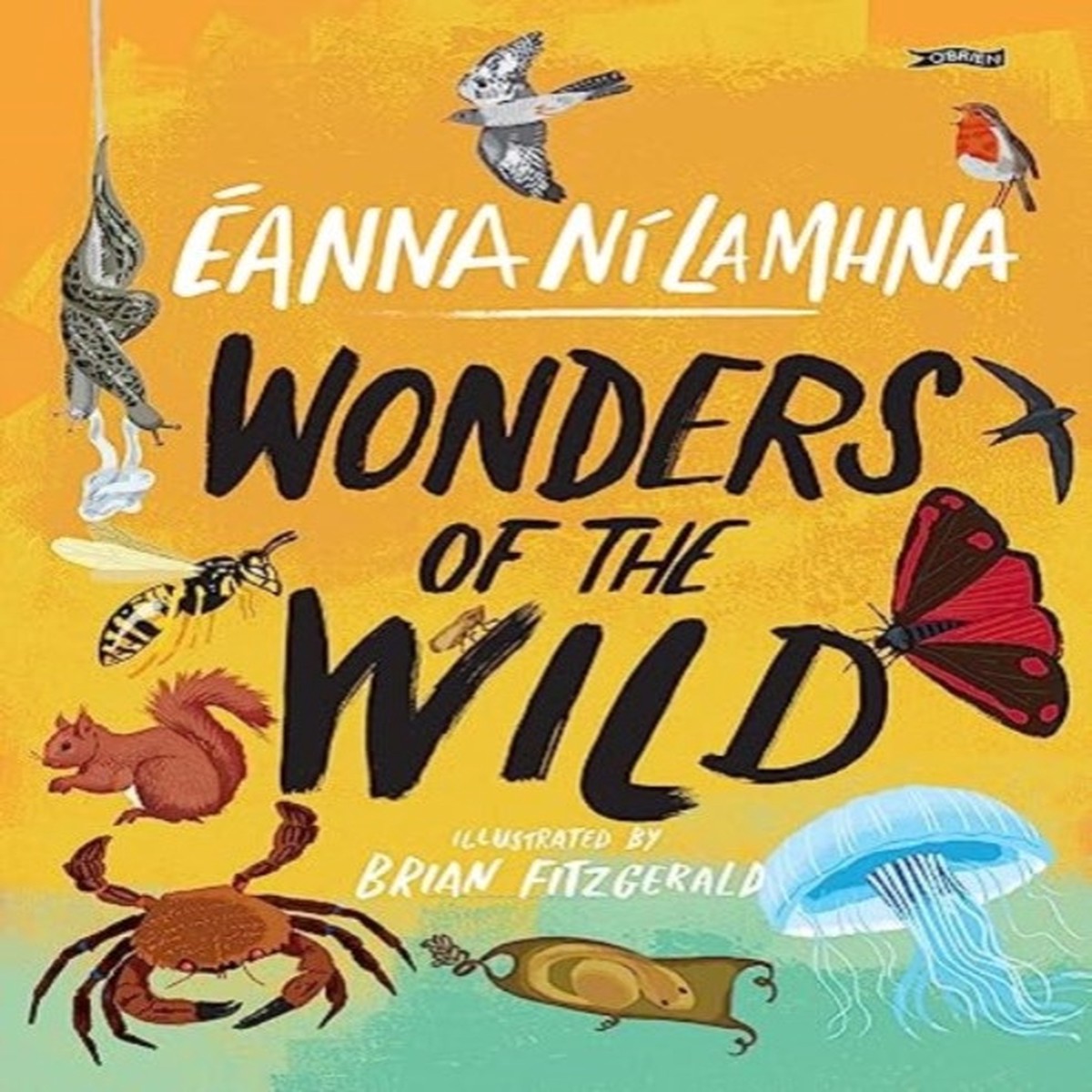 wonders-of-the-wild-by-anna-n-lamhna