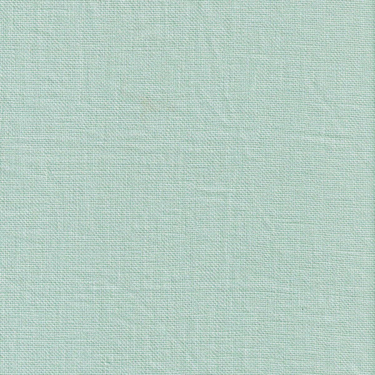 beagle-galapagos-fabric