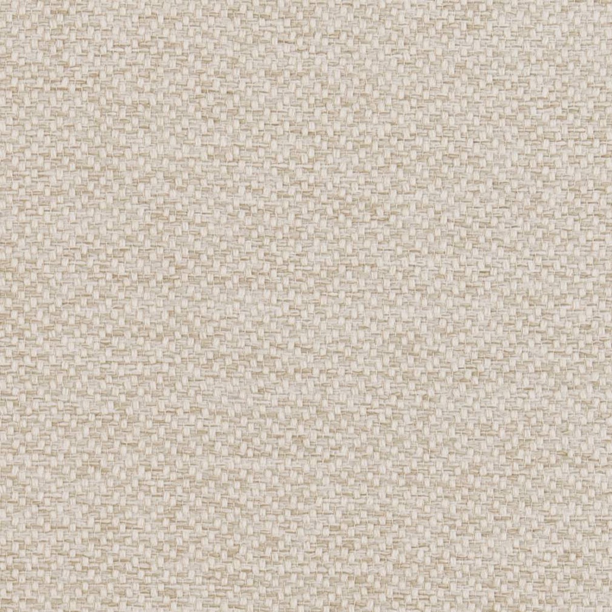 charlotte-d1381-oyster-fabric-by-the-yard