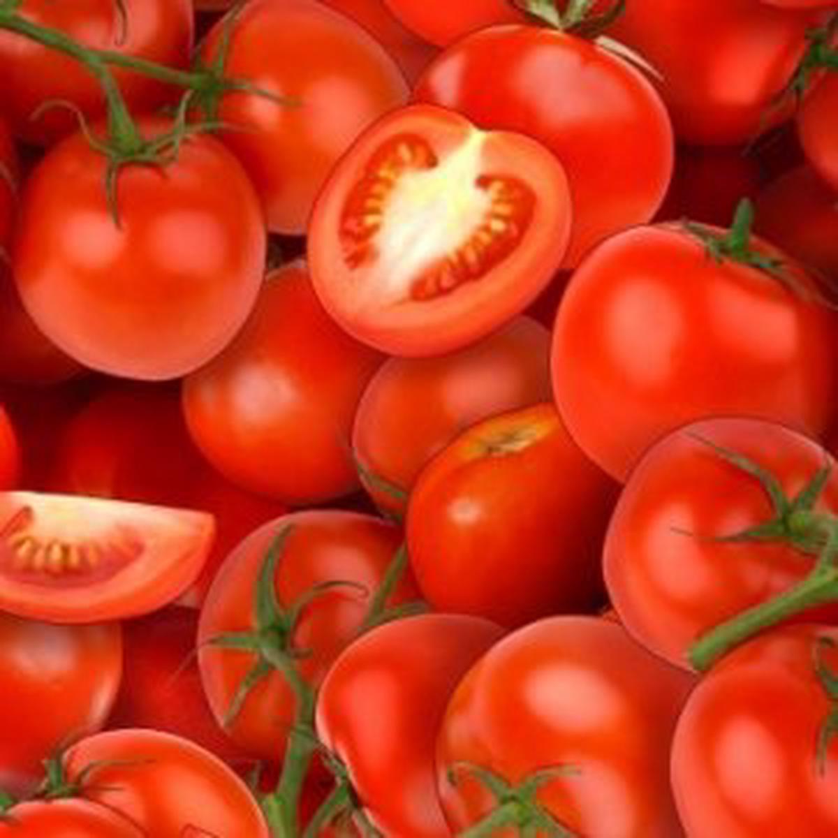 elizabeth-studio-436-tomatoes